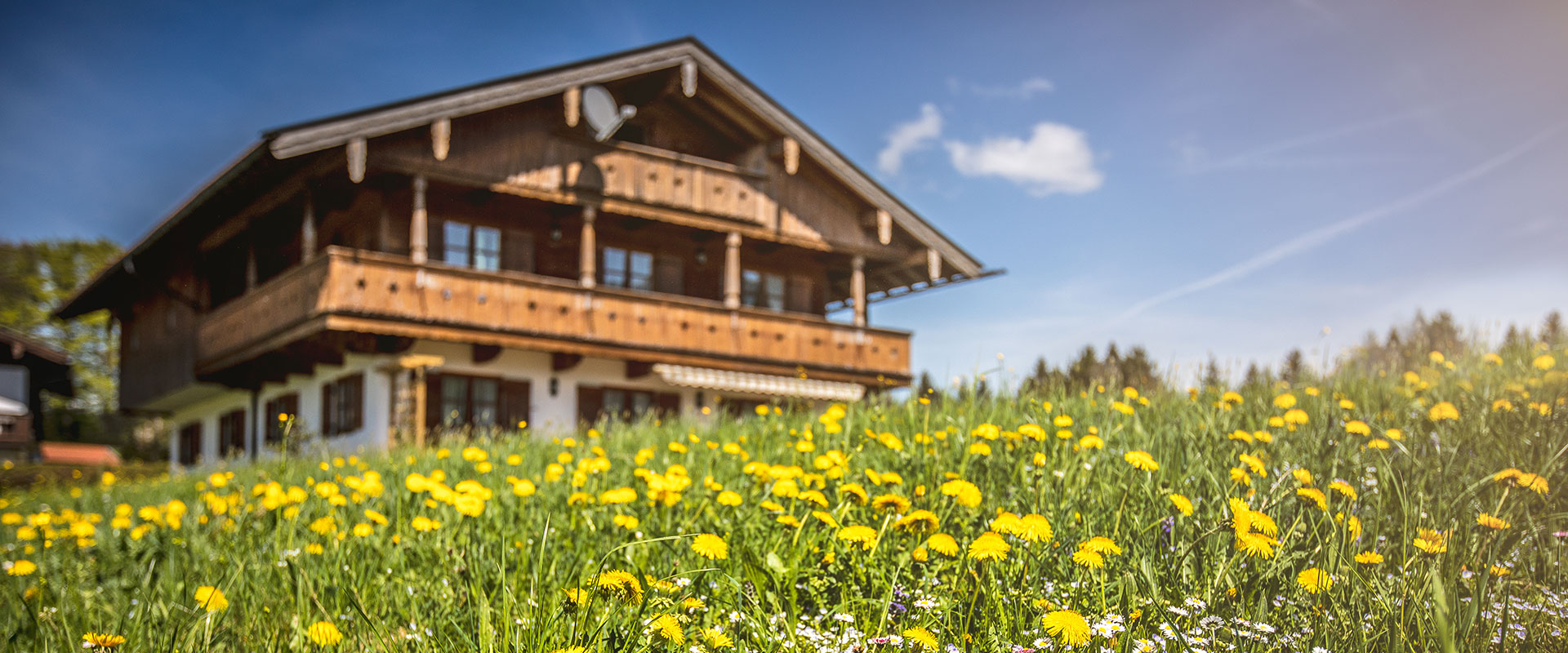 Biohof Jörgenbauer am Schliersee – Sommer